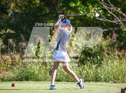 Thumbnail 3 in West Frisco Classic photogallery.