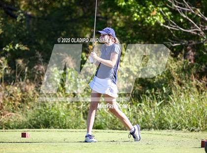 Thumbnail 1 in West Frisco Classic photogallery.