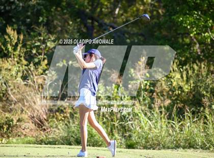Thumbnail 2 in West Frisco Classic photogallery.