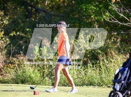 Thumbnail 3 in West Frisco Classic photogallery.