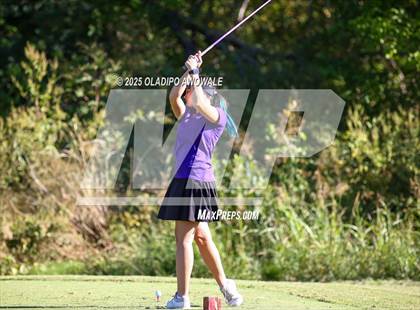 Thumbnail 3 in West Frisco Classic photogallery.