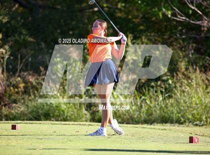 Thumbnail 2 in West Frisco Classic photogallery.