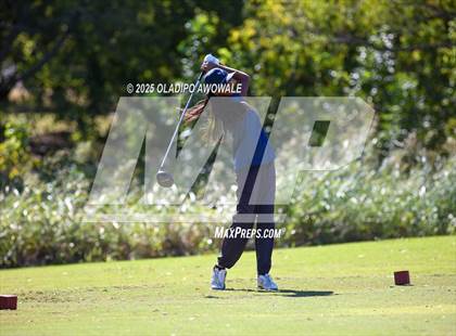 Thumbnail 1 in West Frisco Classic photogallery.