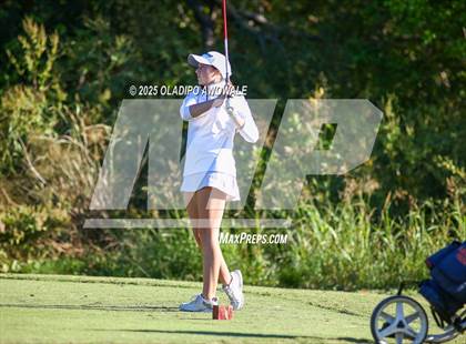 Thumbnail 2 in West Frisco Classic photogallery.