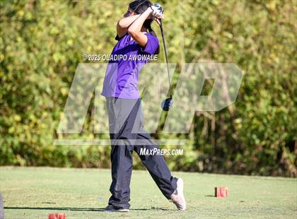 Thumbnail 3 in West Frisco Classic photogallery.
