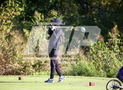 Thumbnail 3 in West Frisco Classic photogallery.