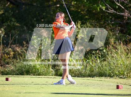 Thumbnail 3 in West Frisco Classic photogallery.
