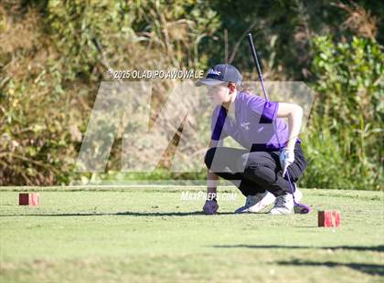Thumbnail 1 in West Frisco Classic photogallery.
