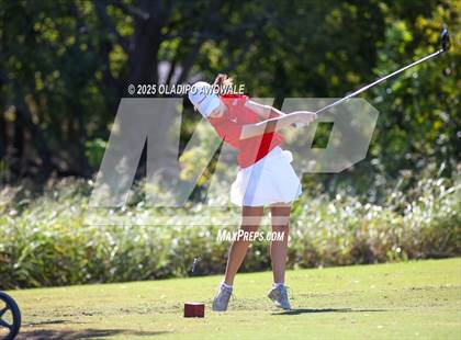 Thumbnail 1 in West Frisco Classic photogallery.