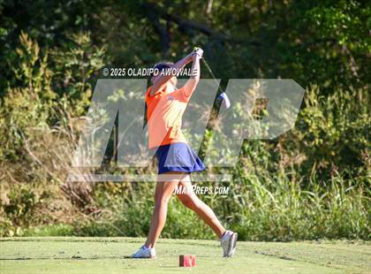 Thumbnail 1 in West Frisco Classic photogallery.