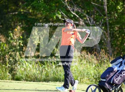 Thumbnail 2 in West Frisco Classic photogallery.