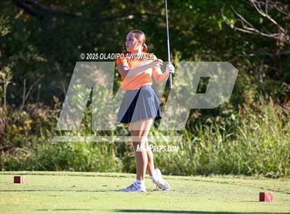 Thumbnail 1 in West Frisco Classic photogallery.