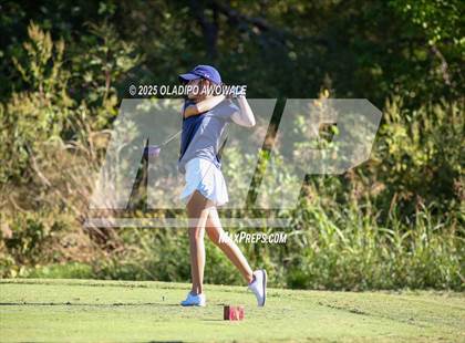 Thumbnail 2 in West Frisco Classic photogallery.