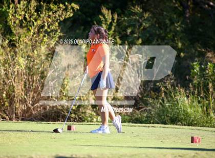 Thumbnail 3 in West Frisco Classic photogallery.