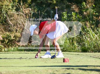 Thumbnail 1 in West Frisco Classic photogallery.
