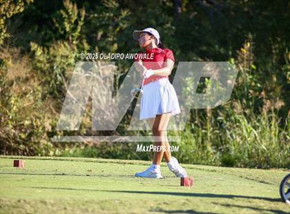 Thumbnail 2 in West Frisco Classic photogallery.