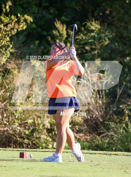 Thumbnail 3 in West Frisco Classic photogallery.