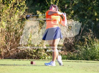 Thumbnail 1 in West Frisco Classic photogallery.