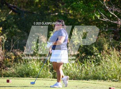 Thumbnail 2 in West Frisco Classic photogallery.