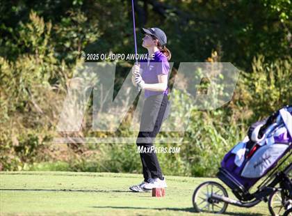 Thumbnail 2 in West Frisco Classic photogallery.