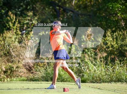 Thumbnail 3 in West Frisco Classic photogallery.