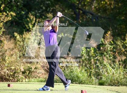 Thumbnail 3 in West Frisco Classic photogallery.
