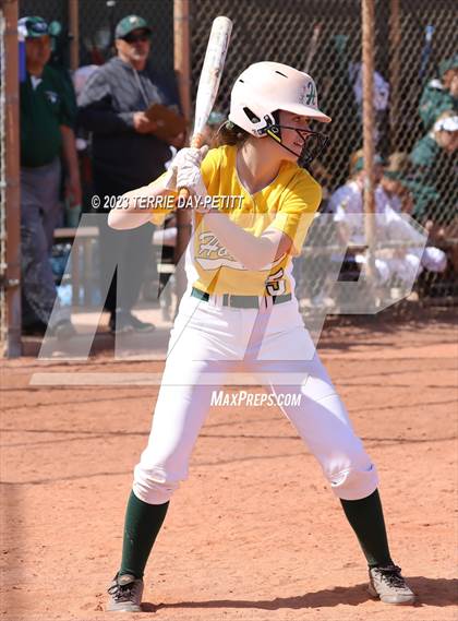 Thumbnail 1 in Flagstaff vs Horizon (Desert Mountain Invitational) photogallery.