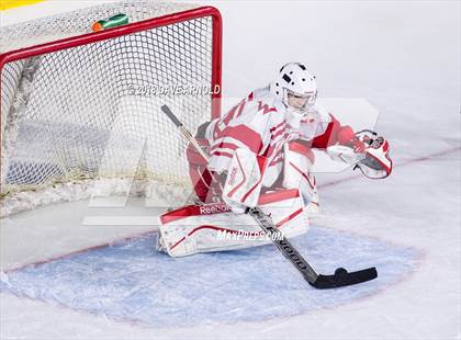 Thumbnail 1 in Belmont vs. Waltham (MIAA Division 1 North Semifinal) photogallery.