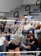 Photo from the gallery "St. Joseph @ Nipomo (CIF CCS Div 3 Quarterfinals)"