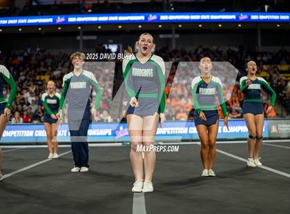 Thumbnail 2 in Woodgrove (VHSL Class 4 State Finals) photogallery.