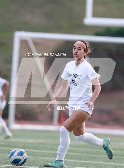 Thumbnail 3 in El Camino Real vs San Pedro (CIF LACS Quarter finals) photogallery.