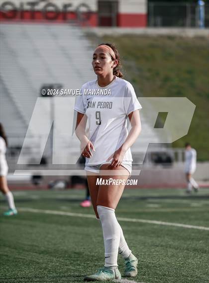 Thumbnail 2 in El Camino Real vs San Pedro (CIF LACS Quarter finals) photogallery.