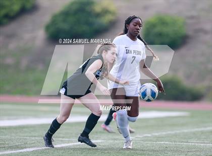 Thumbnail 1 in El Camino Real vs San Pedro (CIF LACS Quarter finals) photogallery.