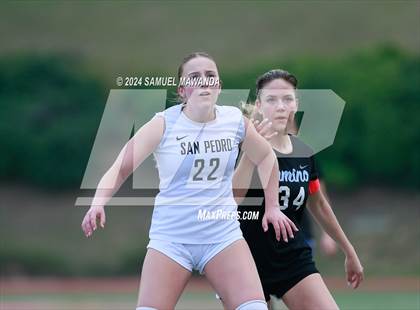Thumbnail 2 in El Camino Real vs San Pedro (CIF LACS Quarter finals) photogallery.