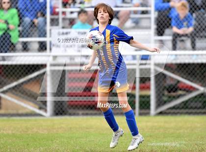 Thumbnail 3 in Lee Christian vs. Cape Fear Christian Academy (NCISAA 1A Final) photogallery.