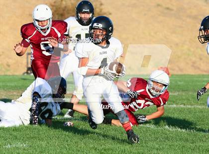 Thumbnail 3 in Millennium @ Rio Vista photogallery.