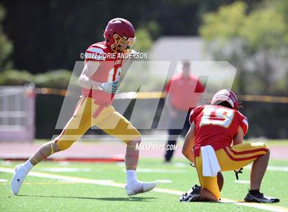 Thumbnail 3 in Sheldon @ Jesuit photogallery.
