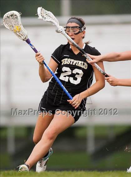 Thumbnail 3 in Westfield @ Loudoun Valley photogallery.