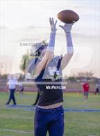 Photo from the gallery "Ironwood @ Kellis"