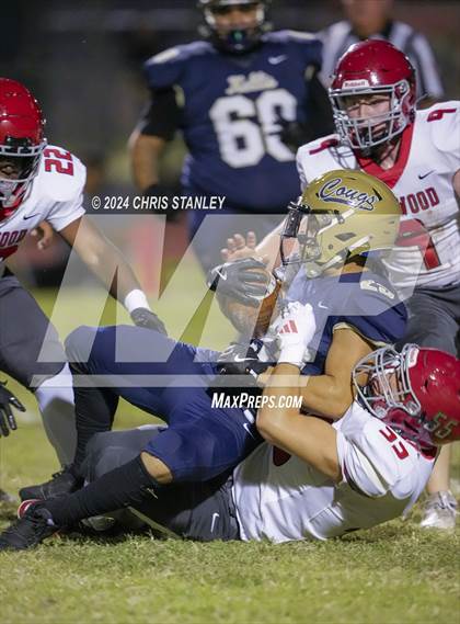 Thumbnail 1 in Ironwood @ Kellis photogallery.