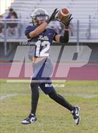 Photo from the gallery "Ironwood @ Kellis"