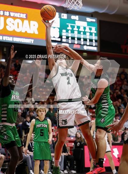 Thumbnail 3 in Payson vs Green Canyon (UHSAA 4A Final) photogallery.