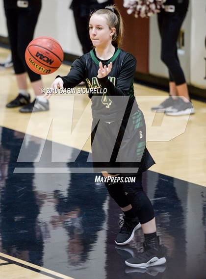 Thumbnail 3 in Basha @ Hamilton photogallery.