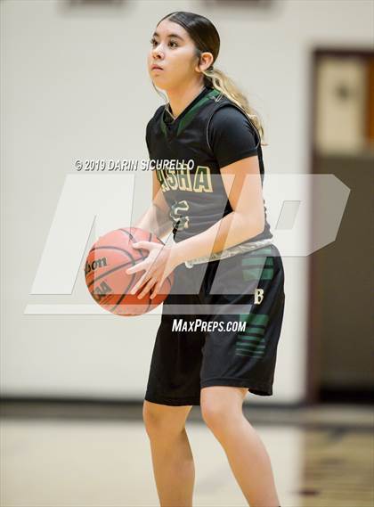 Thumbnail 1 in Basha @ Hamilton photogallery.