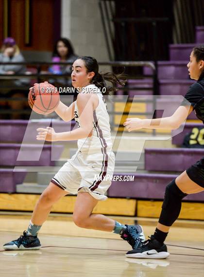 Thumbnail 3 in Basha @ Hamilton photogallery.