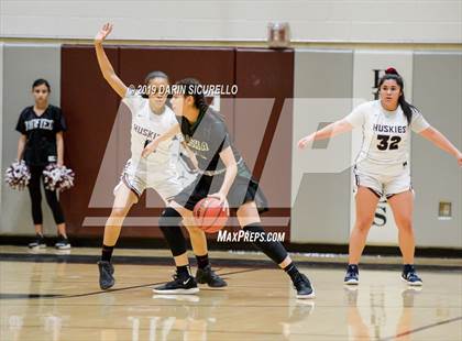 Thumbnail 1 in Basha @ Hamilton photogallery.