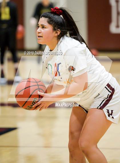 Thumbnail 2 in Basha @ Hamilton photogallery.