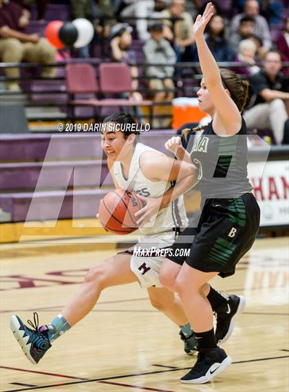 Thumbnail 1 in Basha @ Hamilton photogallery.