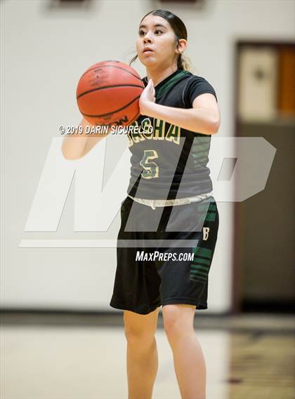 Thumbnail 2 in Basha @ Hamilton photogallery.