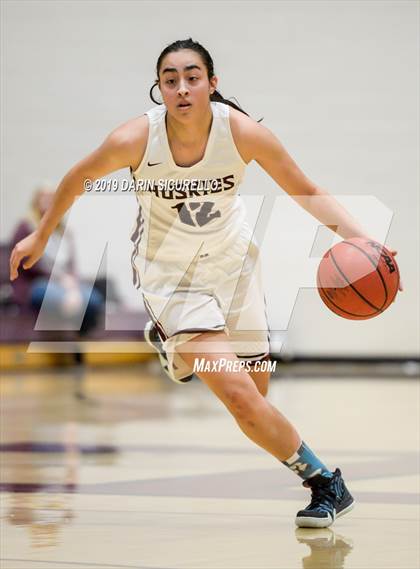 Thumbnail 1 in Basha @ Hamilton photogallery.